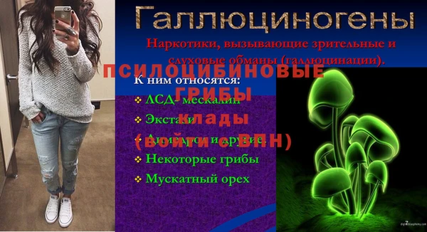 дмт Белоозёрский