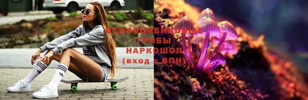 твердый Беломорск
